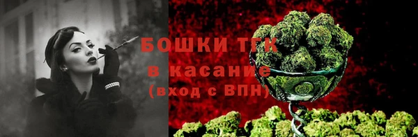 mdpv Горнозаводск