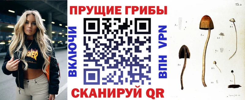 Купить где  Новый Уренгой  Галлюциногенные грибы MAGIC MUSHROOMS 